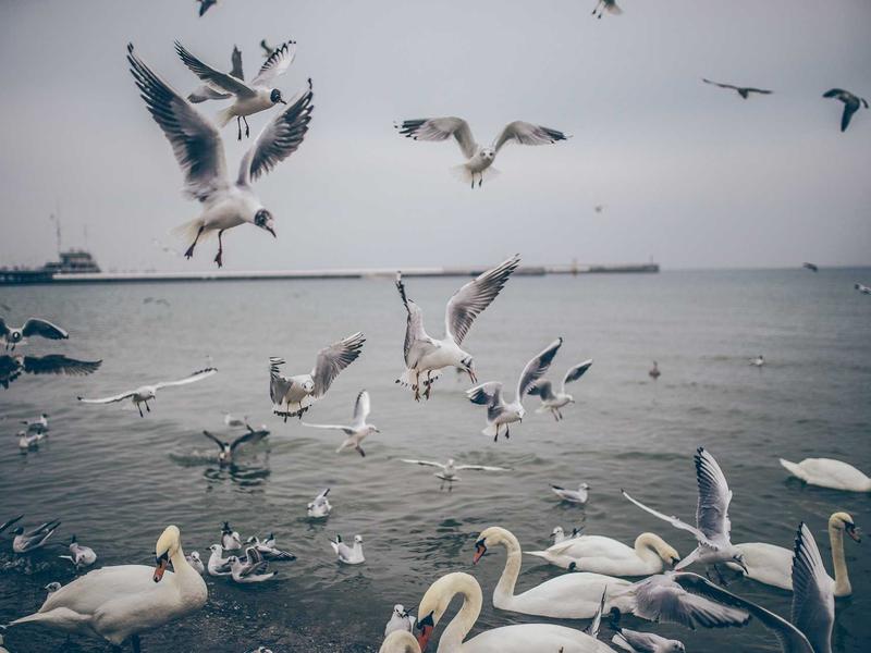 sudoku modern design screenshot 1