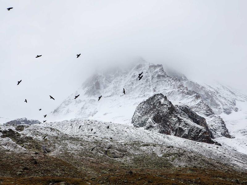 sudoku pattern learning screenshot 3